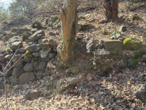 (clone) (clone) (clone)