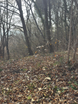 (clone) (clone) (clone)